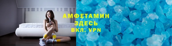 мет Алексин