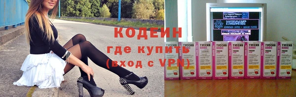 мет Алексин